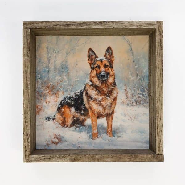German Shepherd In Snow - Pet Grooming Salon Canvas Art : 6x6" Mini Canvas Art with Wood Box Frame