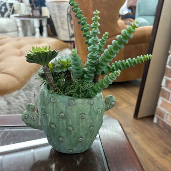 Cactus Jar Succulent Plant