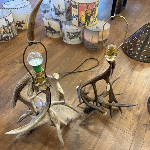 Antler Lamp