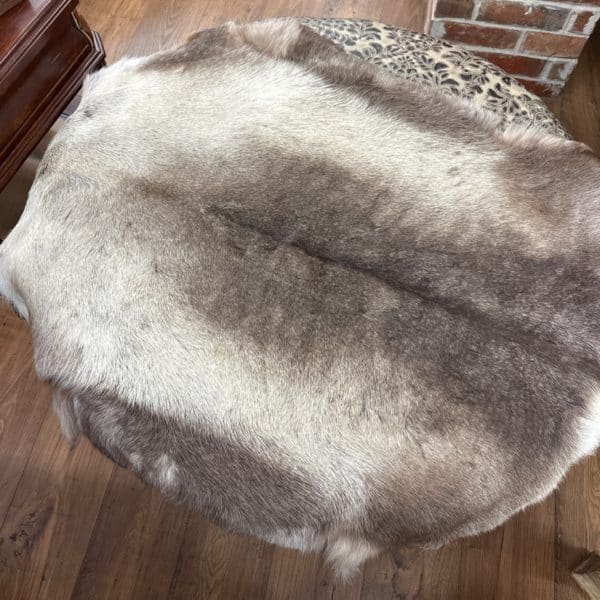 Reindeer Hide