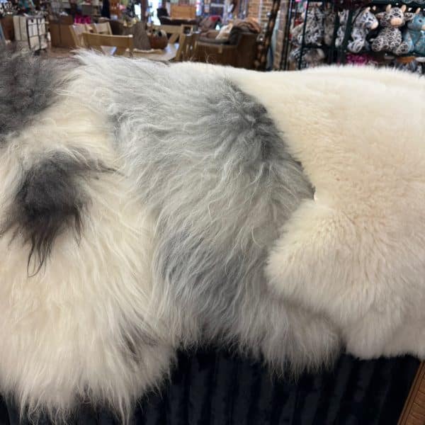 Sheep Hide