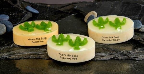 Saguaro Cactus Soap: Cucumber Melon