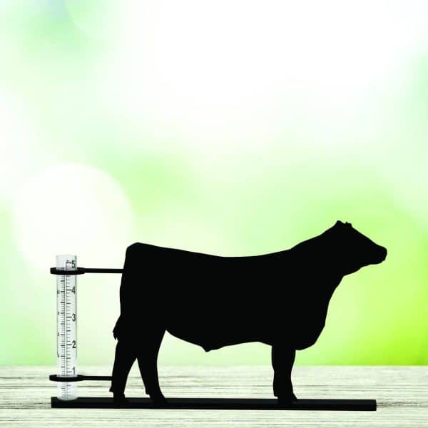 Show Steer Rain Gauge