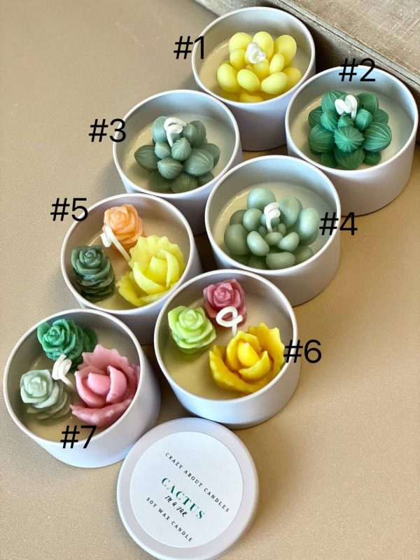 Cactus in a Jar Scented Candle - Handmade Aroma Bliss: Baja Cactus Blossom