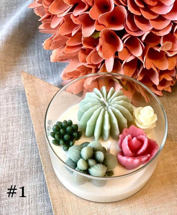 Garden Terrarium Candle – A Touch of Nature’s Serenity: Baja Cactus Blossom, #1