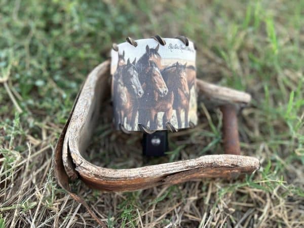 Herd of Horses Nightlight