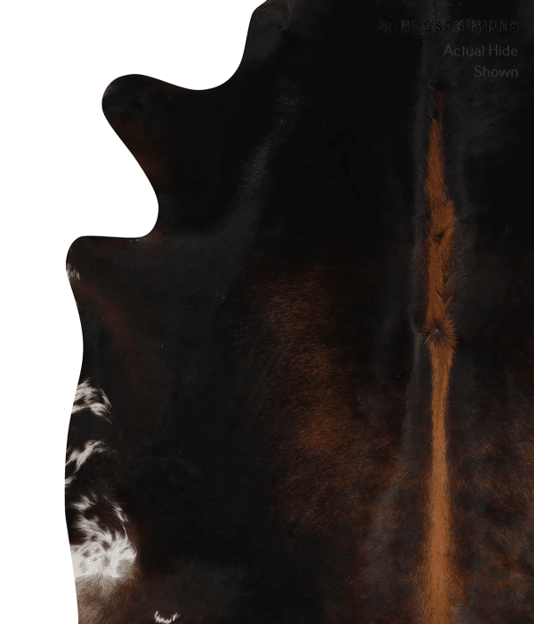 Black Cowhide with Red Line-back