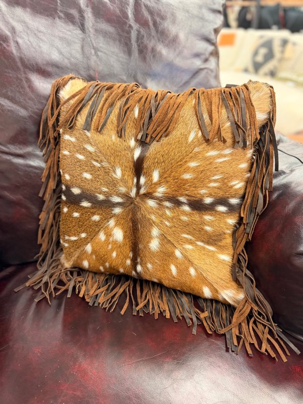 Axis and Fringe Pillow